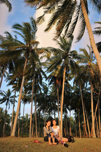 Panoramic view of girls sitting on palm trees