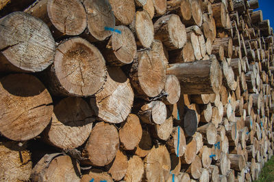 Full frame shot of logs in forest