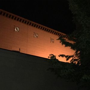 Low angle view of tree