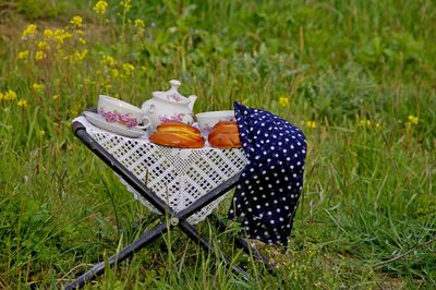 Ice cream on field