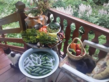 High angle view of food on table