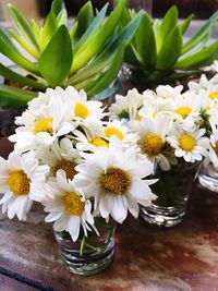 Close-up of flowers on table