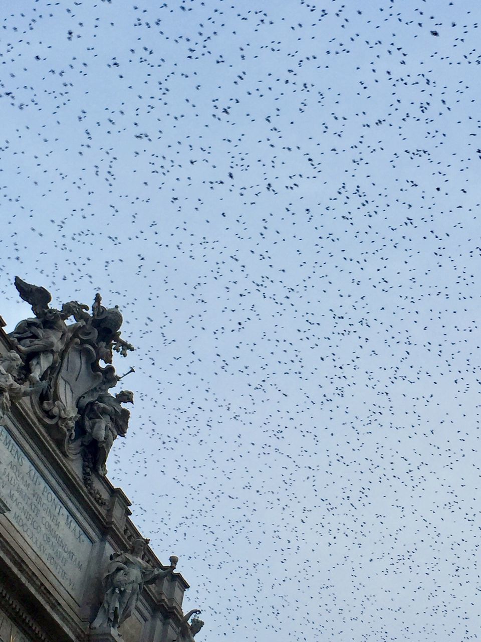 LOW ANGLE VIEW OF BIRDS STATUE AGAINST SKY