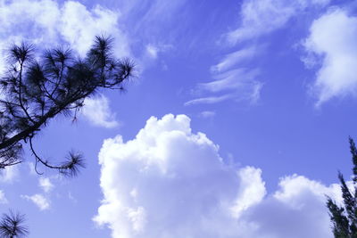 Low angle view of tree against cloudy sky