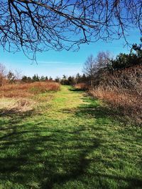 Scenic view of grassy field against sky