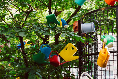 Multi colored flowers hanging on tree