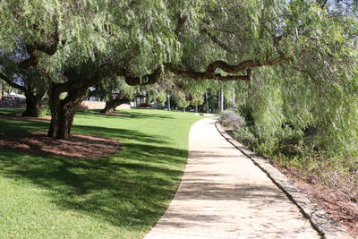 Footpath amidst trees on landscape