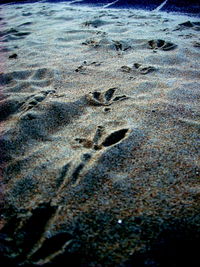 High angle view of footprints on beach