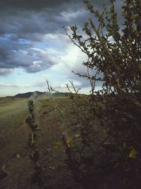 Scenic view of field against cloudy sky