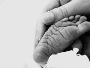 Close-up of hands over white background