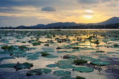 Scenic view of lake against sky during sunset