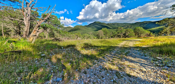 Panoramic view of landscape against sky