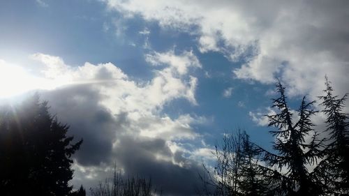 Low angle view of trees against cloudy sky