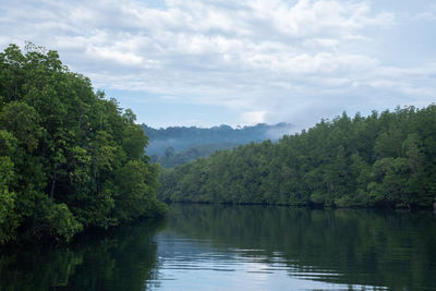 Scenic view of lake by trees against sky