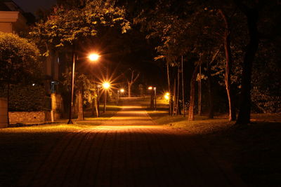 Illuminated street light against trees at night