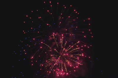 Low angle view of firework display at night