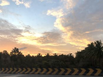 Trees on field against sky during sunset