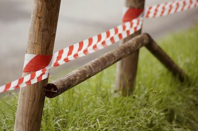 Close-up of wooden post