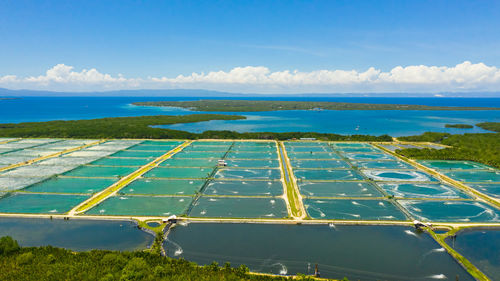 The shrimp farming in philippines.