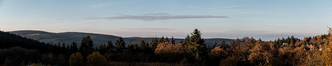 Panoramic view of trees in forest against sky