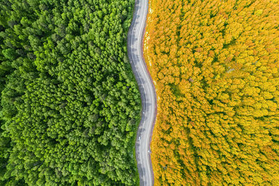 High angle view of road