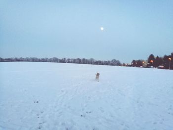 Scenic view of snow covered landscape against sky