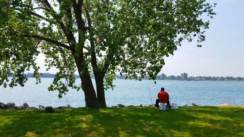 Man standing on tree by sea against sky