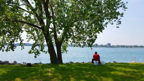 Man standing on tree by sea against sky