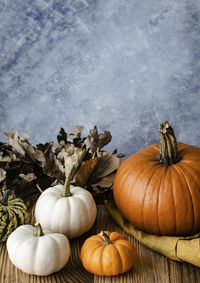 View of pumpkins in container