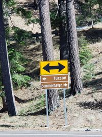 Information sign on tree trunk in forest