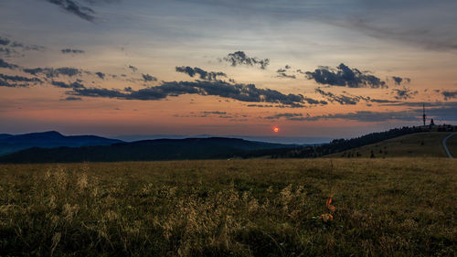 Scenic view of field against sky during sunset