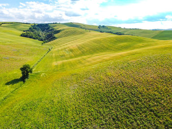 Scenic view of agricultural field against sky