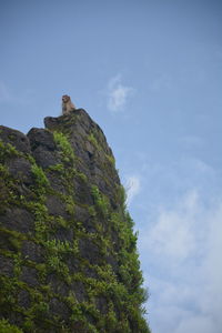Low angle view of rock on mountain against sky