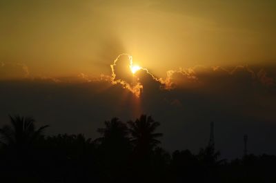 Low angle view of silhouette trees against sky during sunset