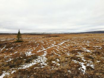 Scenic view of field against sky during winter