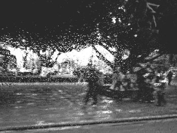 View of road along trees