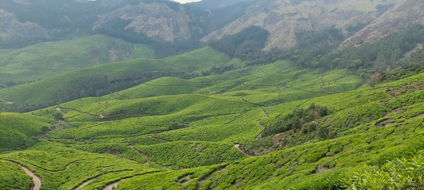 Scenic view of mountains