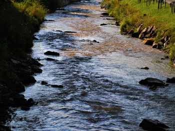 Stream flowing through rocks in forest