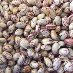 Full frame shot of beans for sale in market