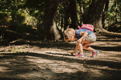 Side view of girl collecting acorns fallen on land in forest