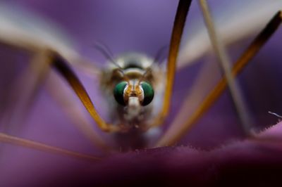 Extreme close up of light