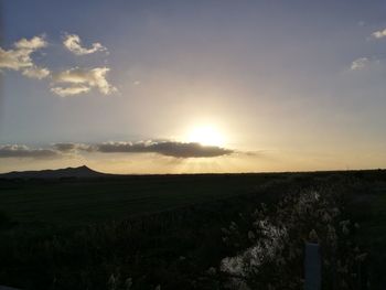 Scenic view of field against sky during sunset