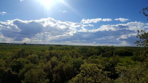 Scenic view of landscape against sky