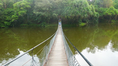 Footbridge over lake in forest