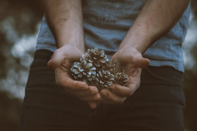 Midsection of man holding pine cones