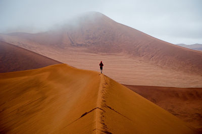 Rear view of man on desert against sky