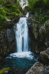 Scenic view of waterfall in forest