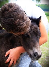 Close-up of man embracing foal on field