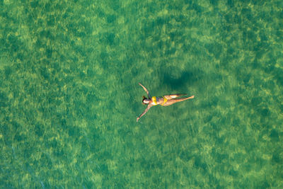 High angle view of butterfly on water