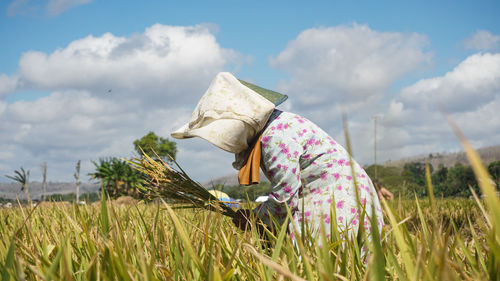 An old woman who is carrying a handful of rice paddy in the fields
